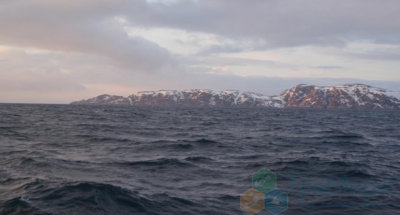 Морская рыбалка на Баренцевом море незабываемое удовольствие
