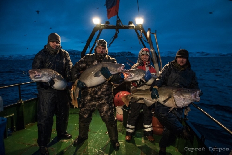 Морская рыбалка на Баренцевом море - Рыбалка в Териберке